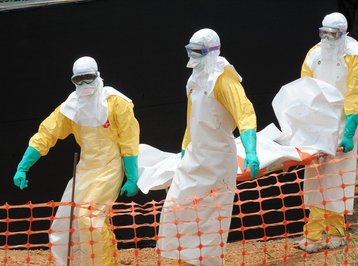 Ebola Avstraliyaya da getdi
